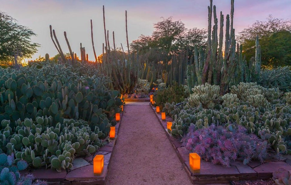 Desert Botanical Garden